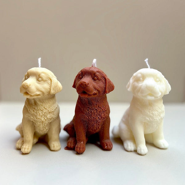 Labrador Mini
