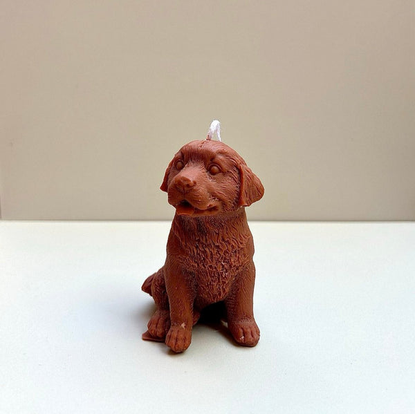 Labrador Mini