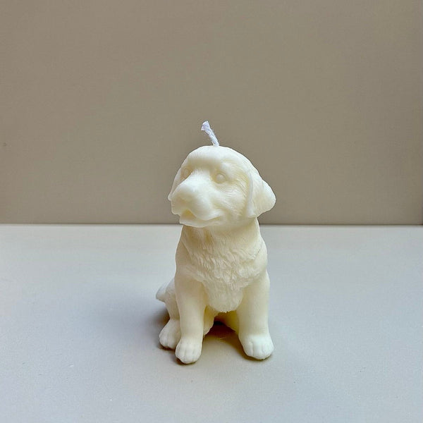 Labrador Mini