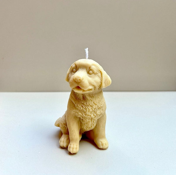 Labrador Mini